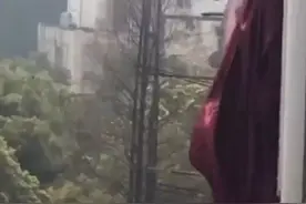 最好的结局！“武汉窗帘”的主人回家了图片