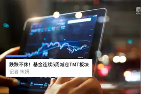 中国财富报道|跌跌不休！基金连续5周减仓TMT板块视频封面