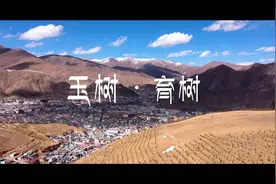 玉树·育树视频封面