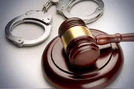 海南一男子冒名转让三块土地，获刑10年多图片