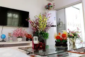 我们的美丽庭院丨邻居都爱来做客！威海这个农家小院被收拾得精致惬意图片