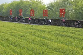美！磐安方前“希望的田野”迎来旅游复苏图片