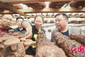 湖南沅江：产业扶贫力助贫困户脱贫致富(4图)图片
