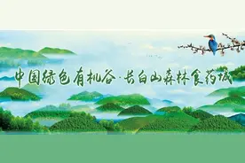 白山市农业农村局关于城区内犬只指定免疫地点的通告图片