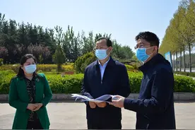 潍坊青州市委书记韩幸福现场调度仙客来路绿化提升工作图片