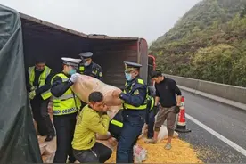 暖！10吨玉米散落高速，“一路三方”施救减少损失图片