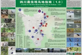 首份《四川最佳观鸟地指南1.0》出炉，盘点成都市内及周边15处观鸟圣地（攻略）图片