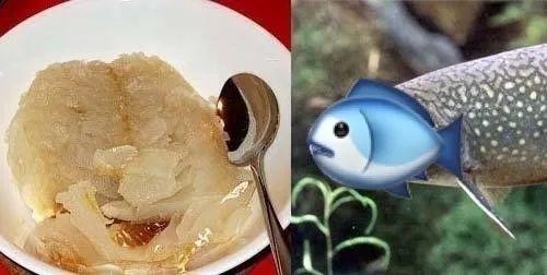 盘点吃货界这些猎奇食材,我看第一个已经慌了