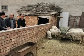 【金昌故事汇】张积忠：多重收益走上富裕路图片