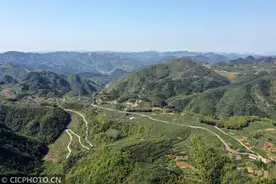 各地茶场美如画 正是春茶飘香时图片