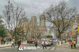 "刚需买房，总价100万！" 青岛主城这几大片区二手房可重点看图片