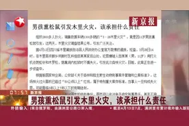 贪玩引悲剧！11岁男孩熏松鼠引发木里火灾，该承担什么责任？视频封面