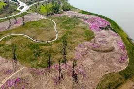 花开的时候你就来看我，一起来看华山湖最美花海图片