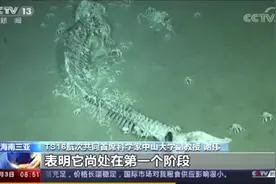 鲸落 | 揭秘"一鲸落，万物生"背后的秘密图片