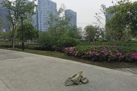今早杭城一条大蛇横卧路边，体长2米，通体雪白！网友：白娘娘找许仙？图片
