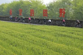 磐安这片希望的田野要火图片