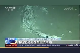我国南海首次发现鲸落！为什么说"一鲸落，万物生"?背后还藏着这些图片