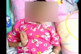 警惕！只因被它咬了一口，8岁女童多器官损伤……图片