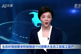 AI合成主播｜生态环境部要求积极推进114项重大生态工程复工复产视频封面