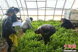 甘肃戈壁农产品办“身份证”护品牌 舌尖安全有据可查图片