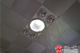 蝙蝠栖居常德市民家中惹人慌 野保部门捕捉放生图片