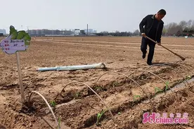烟台海阳打造休闲农场 800块“小菜园”供市民认领图片