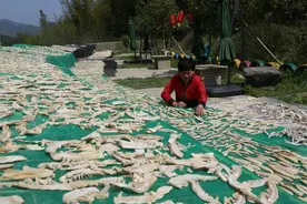 晒笋干，云接单！宁海兰丁村农家货走出大山图片