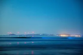 泉州 | 太美！惠女湾迎来2020年第一场大规模“蓝眼泪”图片