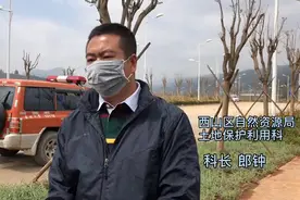 西山区马街片区拟新增330余亩建设用地 为重点项目提供土地保障图片