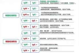 IgM、IgG，核酸及抗体检测……这些知识你懂吗？图片