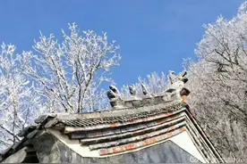【荐读】情系二龙图片