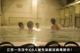 萌化了！北京动物园里大雁添丁图片