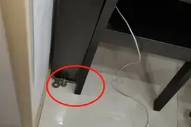 今天，有一条蛇爬上了杭州某小区的六楼图片