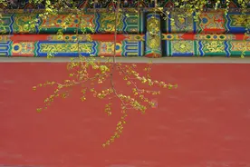 独家｜从故宫猫到延禧宫秘室，故宫摹画师讲述“不一样的故宫”（下）图片