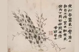 “扬州八怪”之首的金农，如何画笋、吃笋图片