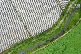 黔北山村换新颜视频封面