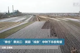 “粮仓”黑龙江：美丽“线条”中种下丰收希望视频封面