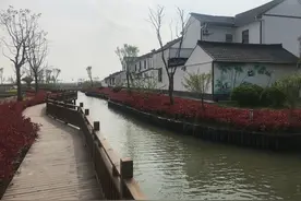 驻村指导员引来活水，臭气熏天的小池塘变身高颜值河道图片