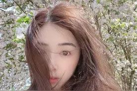 张含韵出门踏青与海棠花合影 发丝飘动遮半脸演绎朦胧美图片