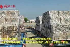 嘿（黑），鄂来了！湖北3架“战疫”专机驰援黑龙江图片