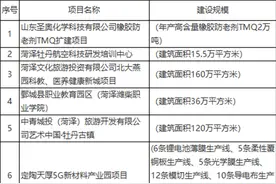 110个！菏泽市2020年重点项目名单公布图片
