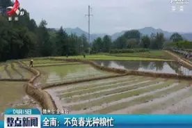 全南：不负春光种粮忙视频封面
