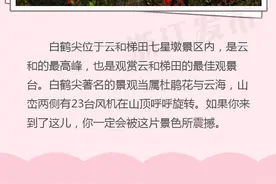 4月，到浙些地方看杜鹃花去图片