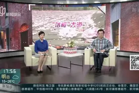 一路繁花一城春  “落樱不扫”留美景视频封面