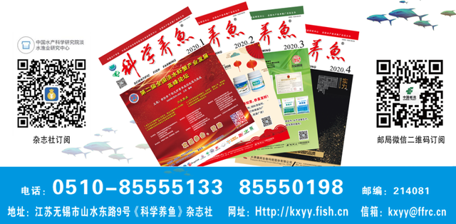 养虾调水有三难：培藻、底改和亚硝酸盐！养殖户如何破解？