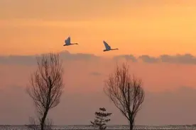 你为何而工作？这是我见过最棒的回答图片