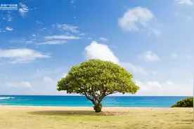 蚂蚁森林体系对支付宝的增长价值图片