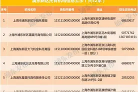 服务0-3岁“最柔软人群”，浦东托育机构已有52家图片