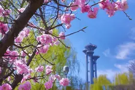 北京踏青哪处去？有10个免费打卡地收藏备用吧图片