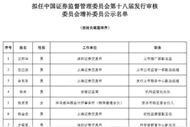 证监会公示20名发审委增补委员候选人，16人来自证监系统图片
